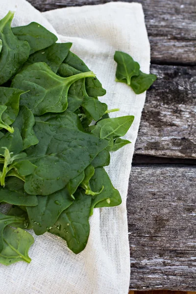 Foglie di spinaci — Foto Stock