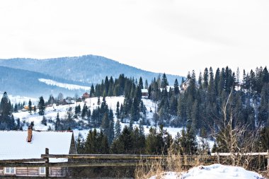 Kış manzarası. Karpat Dağları.