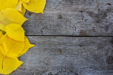 Eski ahşap plakalar tablo üzerinde sarı sonbahar yaprakları