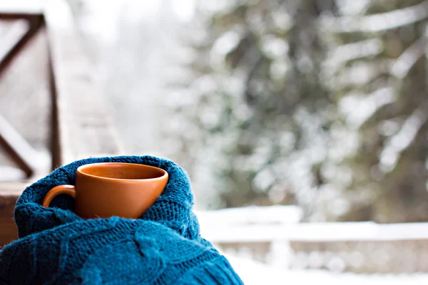 Egy csésze forró itallal, a háttérben a téli erdő — Stock Fotó