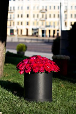 Bir buket kırmızı gül.