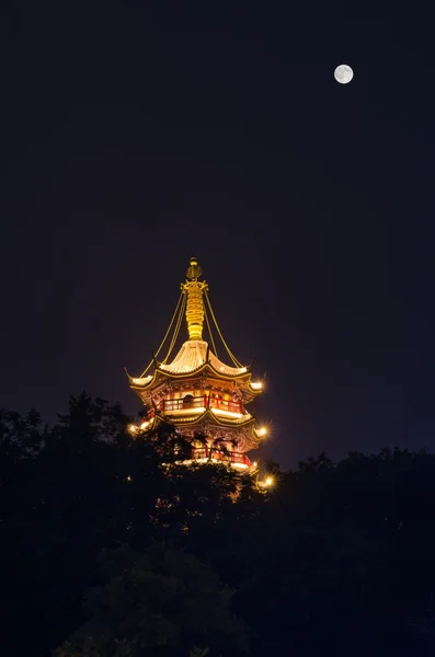 在满月之下鸡鸣寺 免版税图库照片