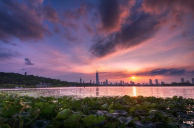 Sunset at Xuanwu Lake in Summer clipart