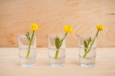 Gözlüklü bir ahşap masa arka plan bahar ya da yaz çiçek.