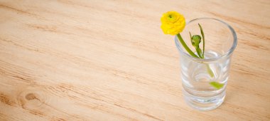 Gözlüklü bir ahşap masa arka plan bahar çiçekleri. Güzel bahar çiçekleri ile bayrak ekleyin. Seçici odak.