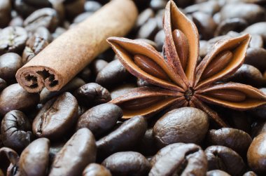 Kahve çekirdekleri, tarçın ve anasonu portre