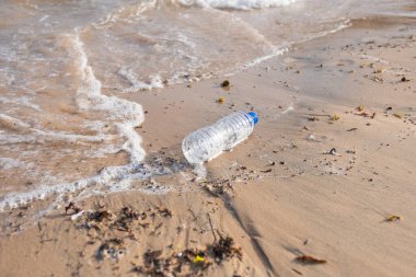 Plaj kirliliği. Plastik şişeler ve deniz sahilindeki diğer çöpler. Çevre kirliliği sorunu.