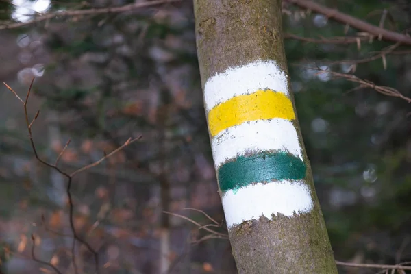 Marking the tourist route painted on the tree. Travel route sign.