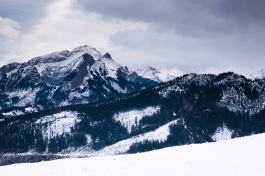 Kışın bulutlu bir günde, karla kaplı dağ manzarası, Tatra Dağları.