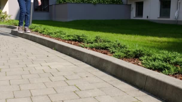 Pies de colegial, niño está caminando a lo largo de la acera de lecho de flores en el día soleado. 4k. — Vídeos de Stock