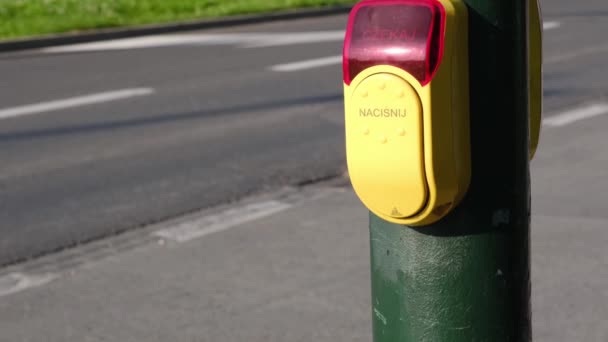 Child hand presses a yellow device with a button on demand on traffic light — Stock Video