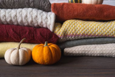 Çeşitli yün örgü süveterler ve balkabaklarıyla sonbahar arkaplanı