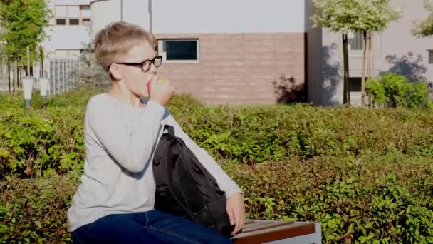 Школьник в очках сидит на деревянной скамейке и ест яблоко. — стоковое видео