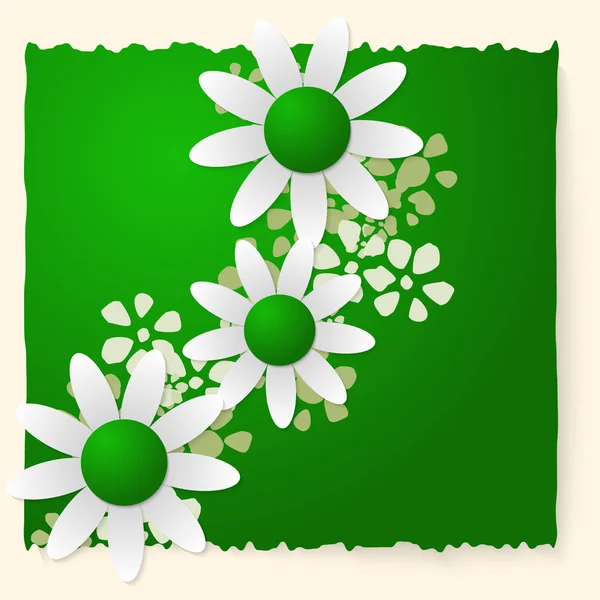 Green slip of paper and white flowers — Stock Vector