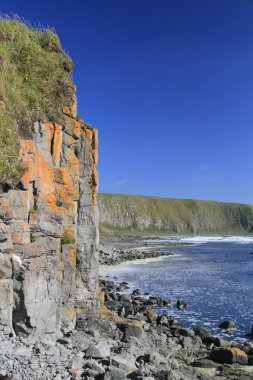 Taşlı Pasifik Okyanusu kıyısında