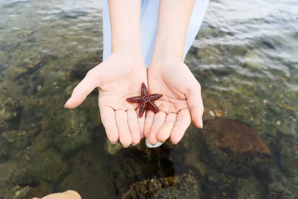 Une petite fille tenant une étoile de mer dans ses mains au bord de la mer. — Photo