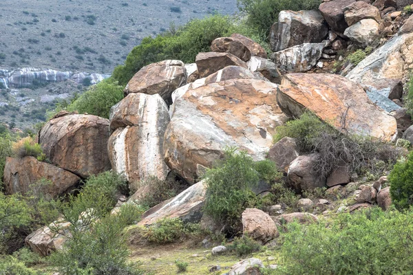 Piedras de color blanco por la orina de cárax de roca — Foto de Stock