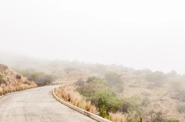 Дорога исчезает в тумане — стоковое фото