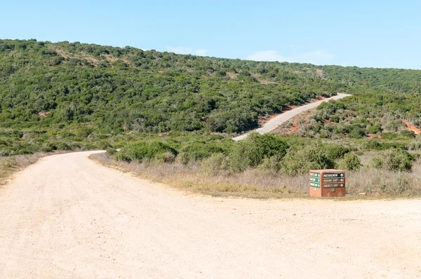 Paisaje típico de Addo — Foto de Stock