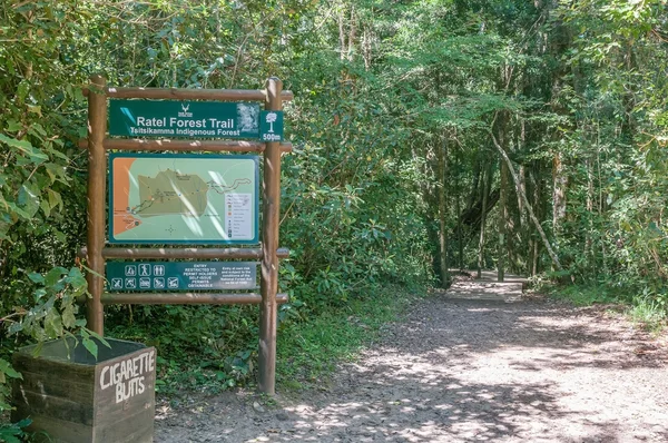 Sendero al árbol de madera amarilla de 1000 años de antigüedad — Foto de Stock