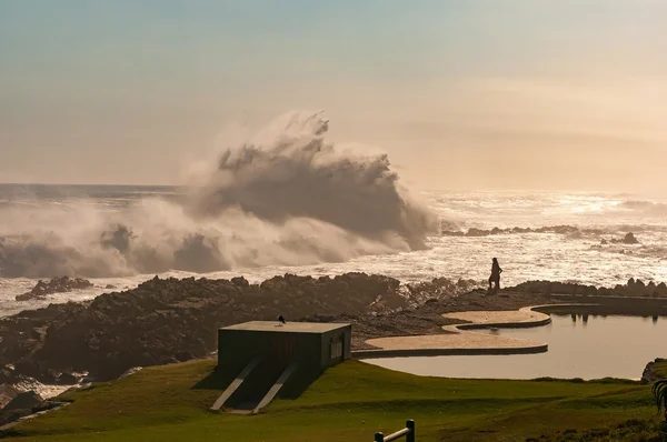 Silueta turistů zobrazení obrovské vlny — Stock fotografie