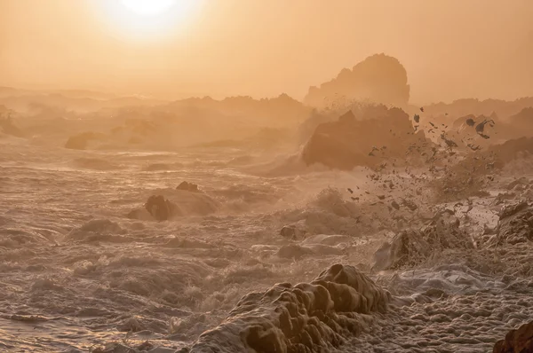 Spume in the setting sun — Stock Photo, Image