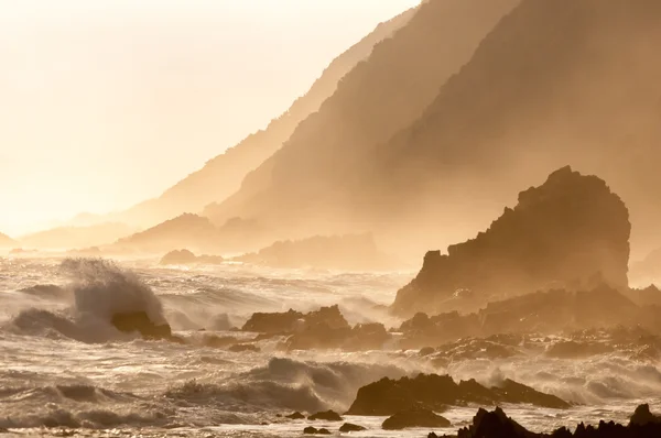 天然棕褐色沿海日落场景 — 图库照片