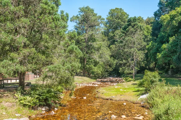 Lugar de picnic Jubilee Creek — Foto de Stock