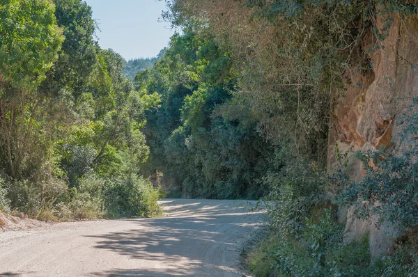 Hoogekraal Pass yedi geçer yolda