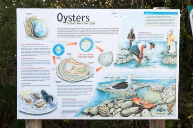 Information board on oysters in Noetsie clipart