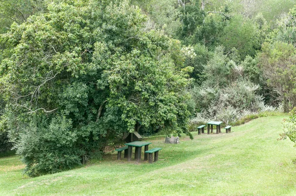 Valle de Ferns lugar de picnic — Foto de Stock