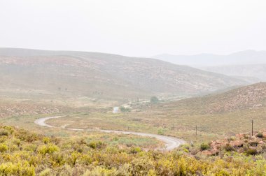 Nuwekloofpas Baviaanskloof azalan ıslak 