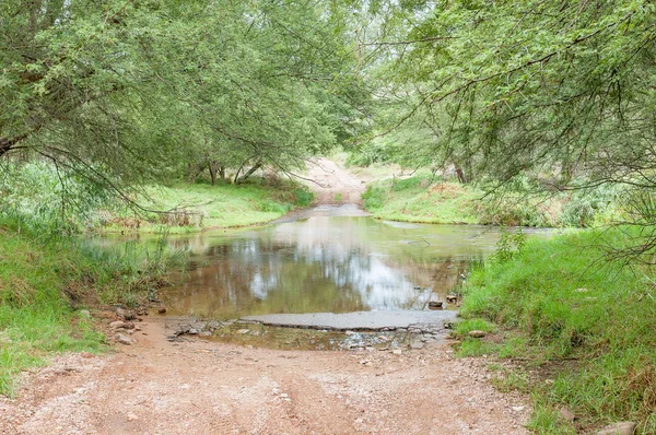 Road crossing the Baviaans River — Stock Photo, Image