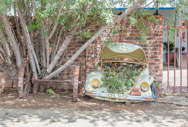 Olağandışı sulu Bahçe