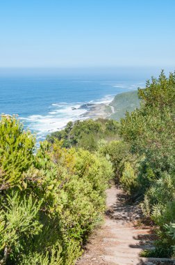 Fırtınalar nehir ağzı bakış açısından kampa geri iz