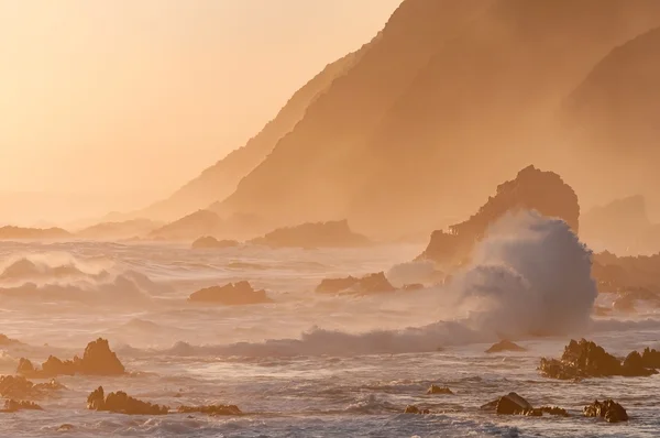 Přírodní sépiový pobřežní západ slunce scéna — Stock fotografie