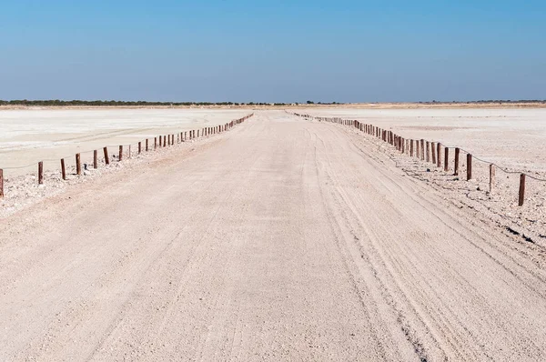 Uitzicht Vanaf Het Uitkijkpunt Etosha Pan Bij Halali Het Noorden — Stockfoto