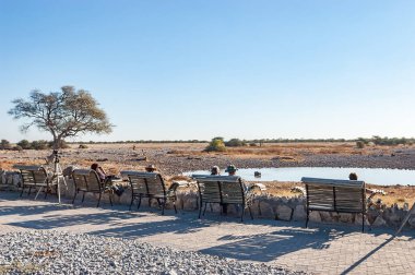 ETOSHA ULUSAL PARK, NAMIBIA - 12 Haziran 2012: Okaukeujo Dinlenme Kampı 'nın su kuyusu manzaralı turistler