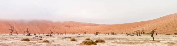 Panorama Deadvlei Perto Sossusvlei Namíbia Árvores Mortas Dunas Areia Pessoas — Fotografia de Stock