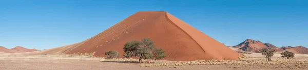 纳米比亚Sesriem和Sossusvlei之间的全景沙丘景观 树是可见的 — 图库照片