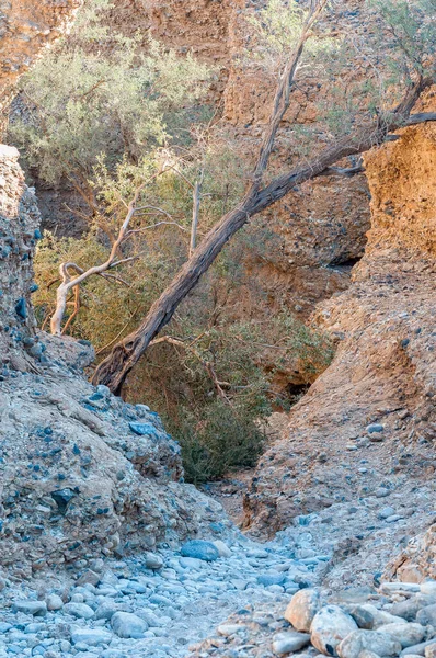 Sentiero Che Scende Nel Canyon Sesriem Vicino Sossuvlei Namibia — Foto Stock