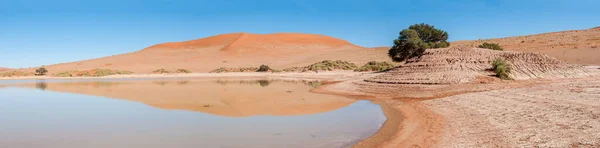 Panorama Sossusvlei Namíbia Cheio Água Dunas Areia São Visíveis — Fotografia de Stock