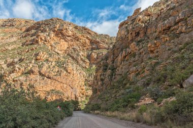 Batı Burnu Karoo 'nun Swartberg dağlarındaki Seweweek Spoort' a giden yol.