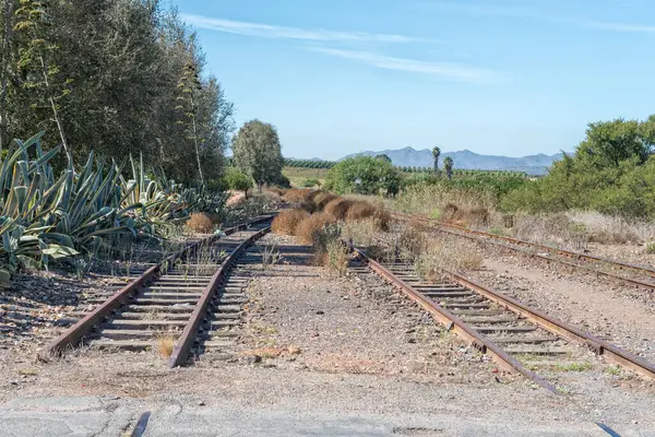 西ケープ州アシュトン近くのKlaas Voogdsrivier駅で使用されていない鉄道線路 アガベ植物が見える — ストック写真