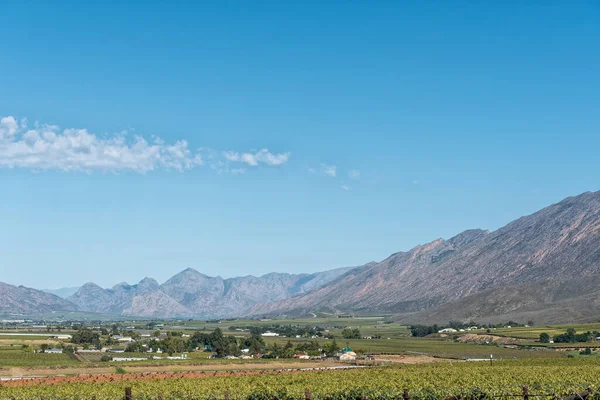 Paisaje Agrícola Valle Del Río Hex Provincia Occidental Del Cabo — Foto de Stock