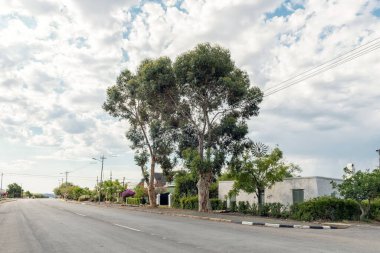 PRINCE ALBERT, Güney Afrika - 20 Nisan 2021: Batı Cape Eyaleti 'ndeki Prens Albert' te ana cadde ve evlerin olduğu bir sokak sahnesi. Büyük ağaçlar ve yel değirmeni görülebilir.