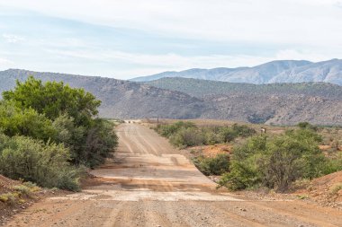 Klaarstroom ve Willowmore arasındaki R407 yolunda alçak su köprüsü. Bir araç görünüyor.