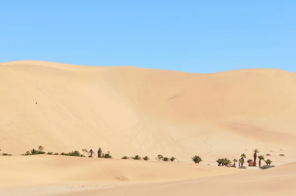 Dune 7 dans le désert namibien — Photo