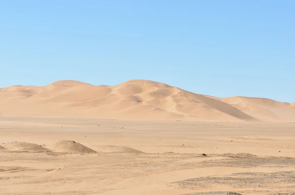 Duin 7 in de namib woestijn — Stockfoto