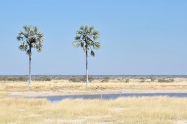 İki avuç içi su birikintisinin etkin Ulusal Parkı, 